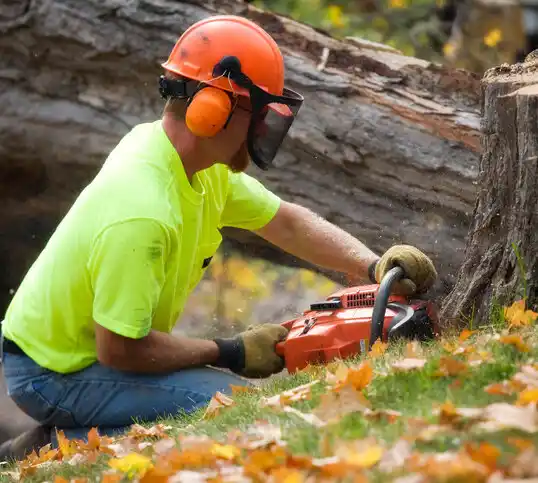 tree services Bowleys Quarters